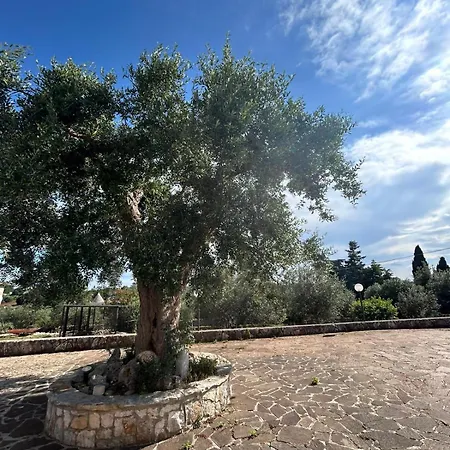 Casa Dell'ulivo By Sthey Villa